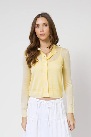 Central Park West Sheer Pointelle Cropped Cardigan